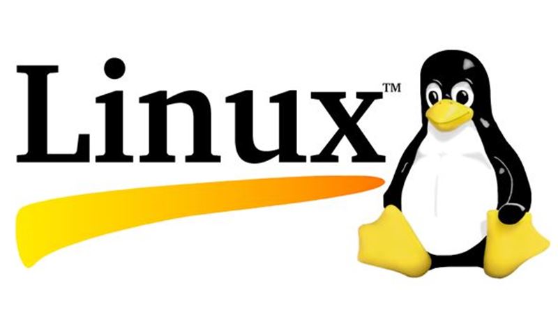 Picture of Linux Fundamentals