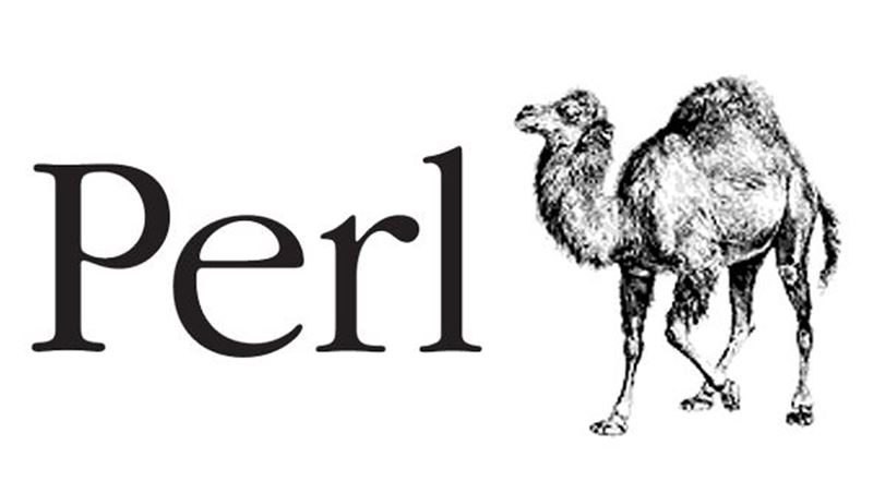 Picture of Perl Programming Fundamentals
