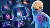 Picture of The Human Body: Anatomy and Physiology
