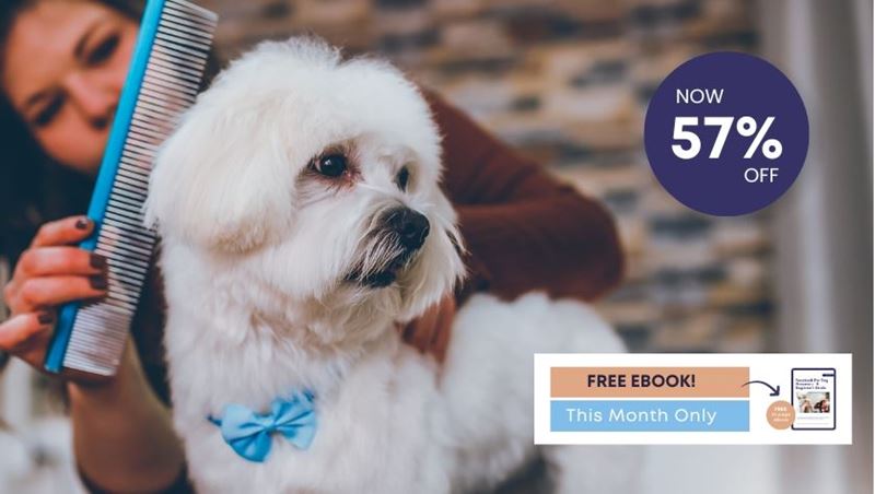 Picture of Dog Grooming Diploma Course Bundle