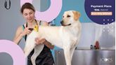 Picture of Dog Grooming Diploma