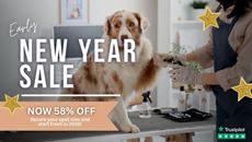 Picture of Dog Grooming Diploma Course Bundle