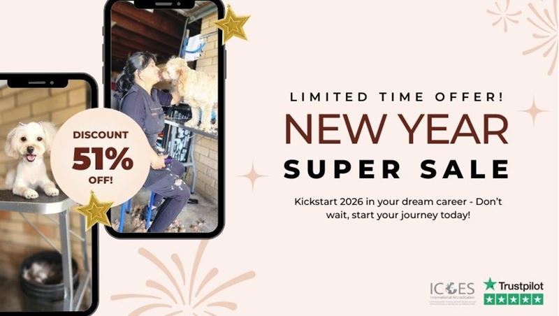 Picture of Dog Grooming Diploma