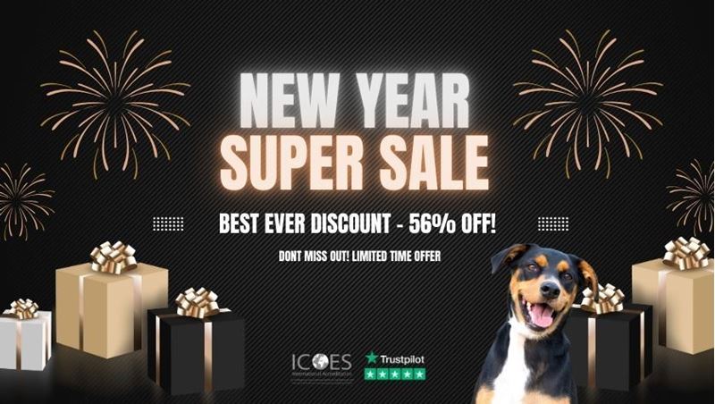 Picture of Dog Grooming Bundle (2 Courses)