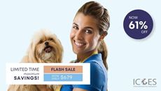 Picture of Dog Grooming Diploma Course Bundle