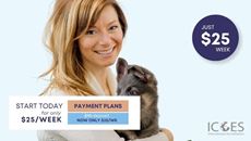 Picture of Dog Grooming Diploma