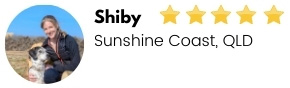 dog shiby review